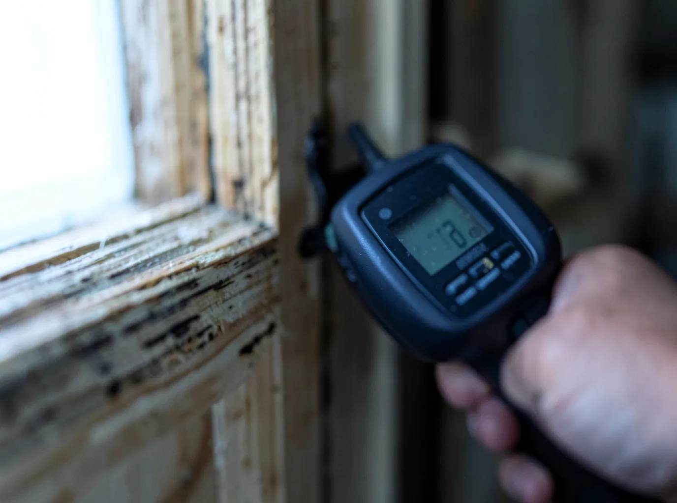 Moisture Inspection And Documentation in Nine Mile Falls, WA